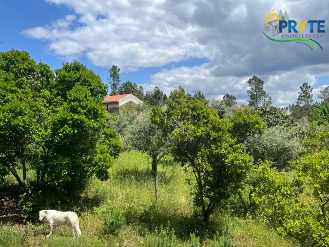 Quinta T3 para Venda em Cumeada e Marmeleiro Foto 34