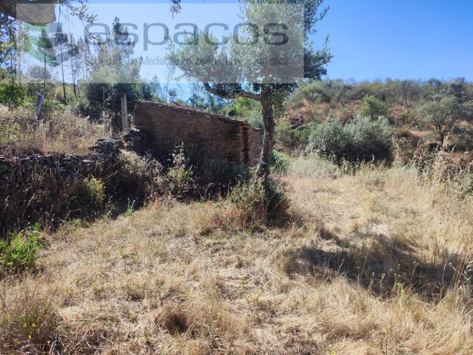 Terreno Agricola ou Rústico para Venda em Vila Velha de Rodão Foto 1