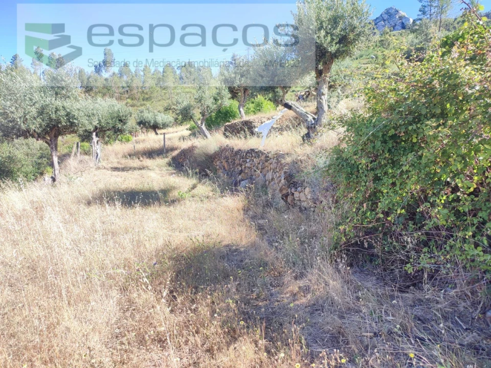Terreno Agricola ou Rústico para Venda em Vila Velha de Rodão Foto 6