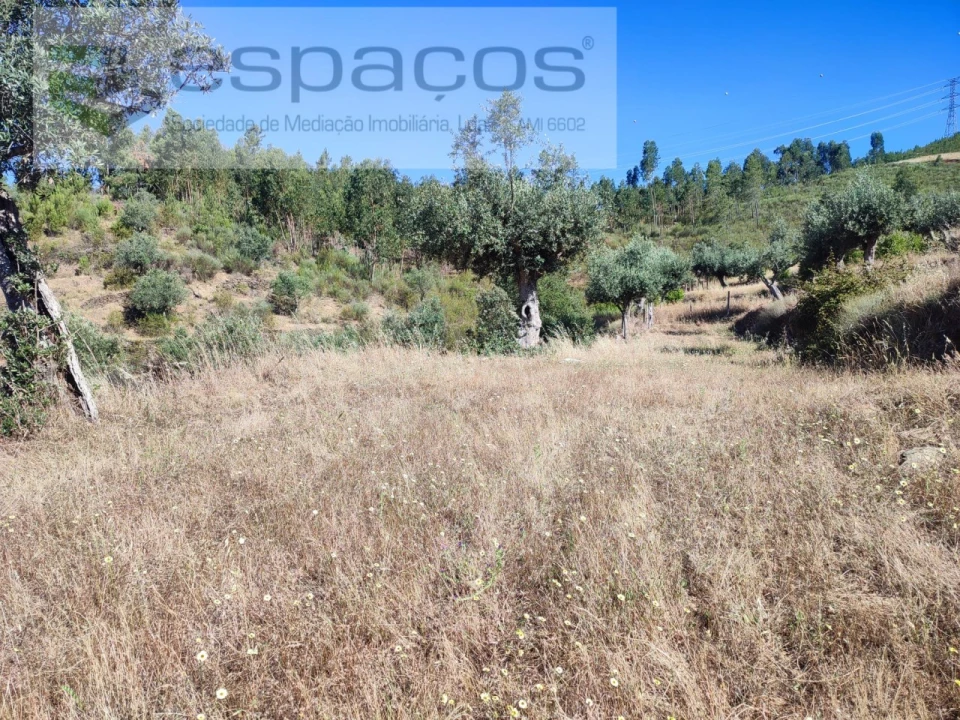 Terreno Agricola ou Rústico para Venda em Vila Velha de Rodão Foto 7