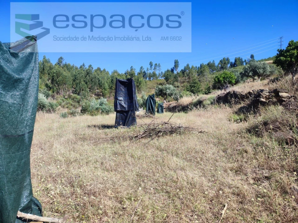Terreno Agricola ou Rústico para Venda em Vila Velha de Rodão Foto 8