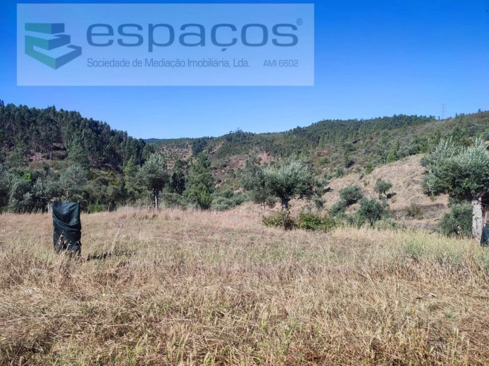 Terreno Agricola ou Rústico para Venda em Vila Velha de Rodão Foto 11