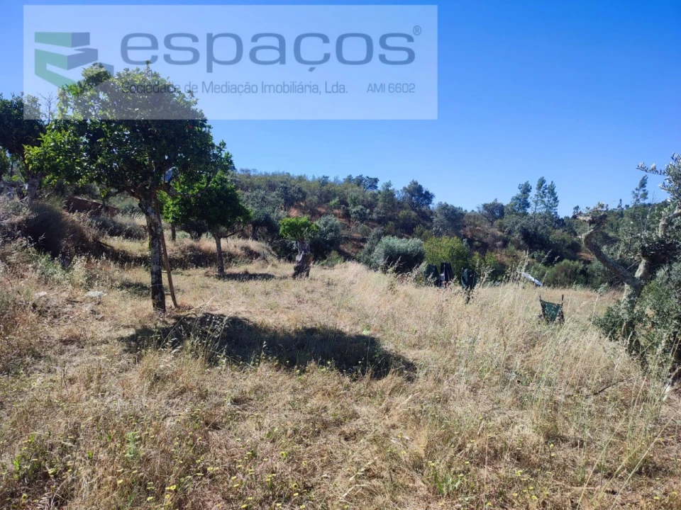 Terreno Agricola ou Rústico para Venda em Vila Velha de Rodão Foto 12
