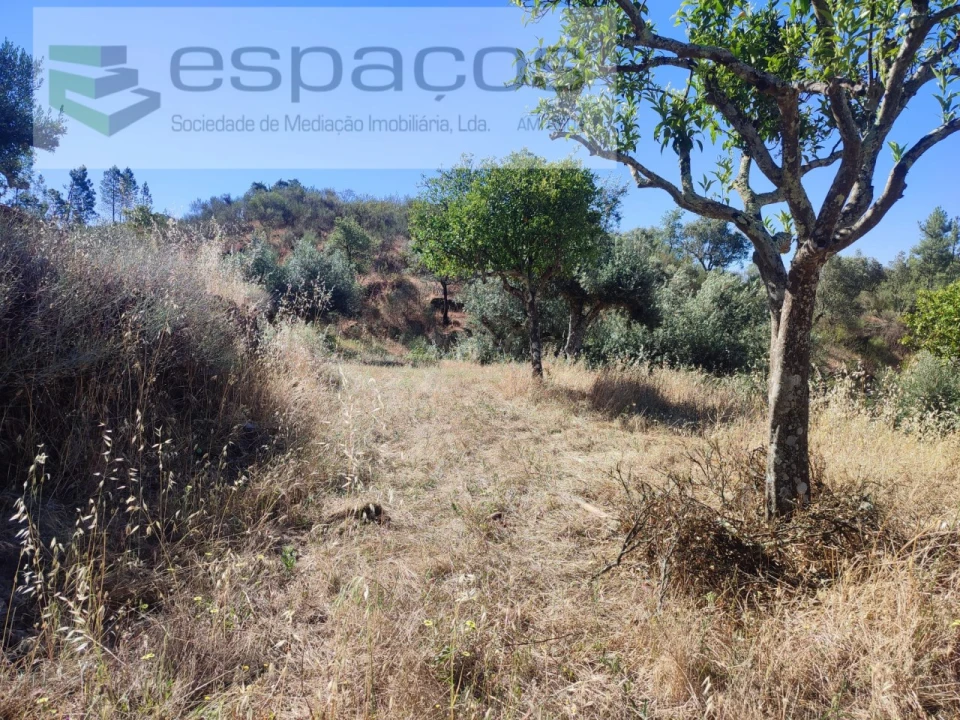 Terreno Agricola ou Rústico para Venda em Vila Velha de Rodão Foto 14