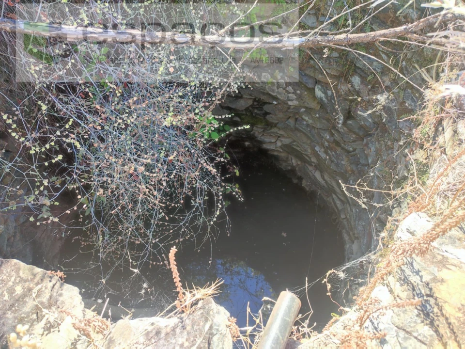 Terreno Agricola ou Rústico para Venda em Vila Velha de Rodão Foto 16