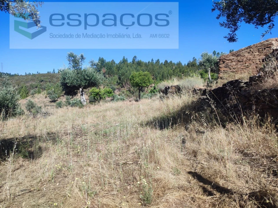 Terreno Agricola ou Rústico para Venda em Vila Velha de Rodão Foto 17