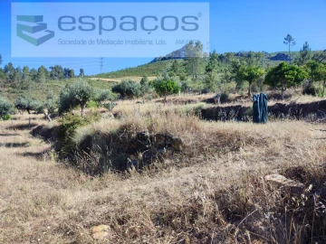 Terreno Agricola ou Rústico para Venda em Vila Velha de Rodão