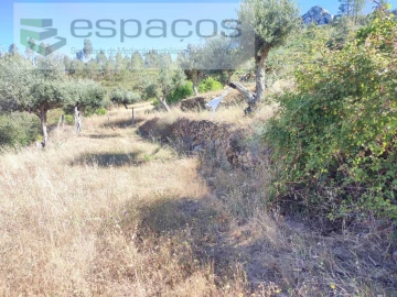 Terreno Agricola ou Rústico para Venda em Vila Velha de Rodão
