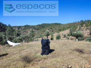 Terreno Agricola ou Rústico para Venda em Vila Velha de Rodão