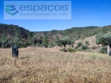Terreno Agricola ou Rústico para Venda em Vila Velha de Rodão
