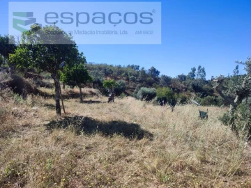 Terreno Agricola ou Rústico para Venda em Vila Velha de Rodão