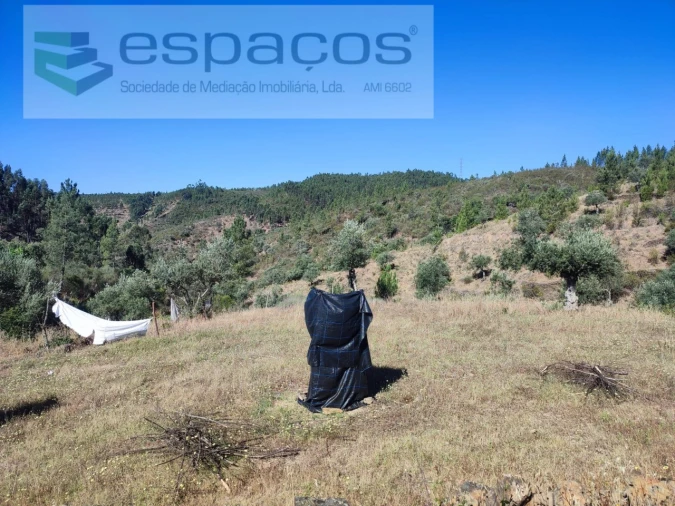 Terreno Agricola ou Rústico para Venda em Vila Velha de Rodão Foto 9