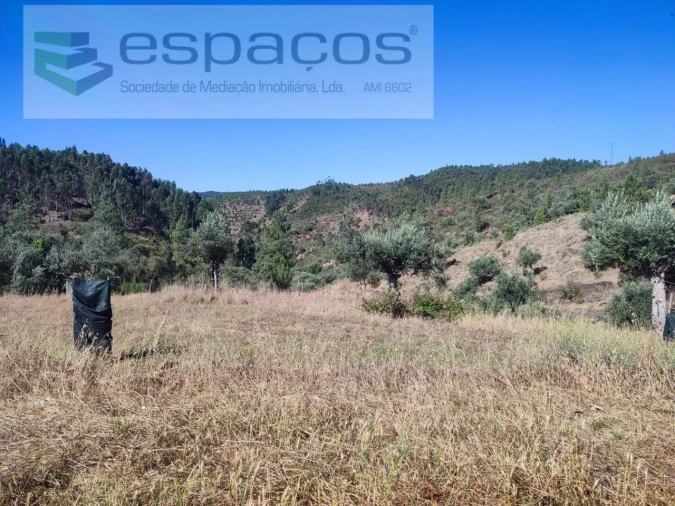 Terreno Agricola ou Rústico para Venda em Vila Velha de Rodão Foto 11
