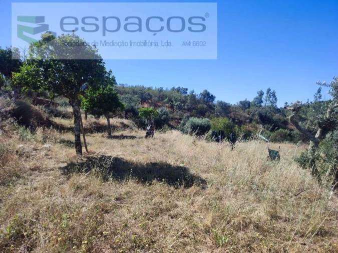 Terreno Agricola ou Rústico para Venda em Vila Velha de Rodão Foto 12