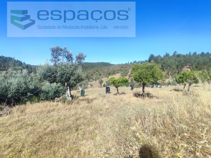 Terreno Agricola ou Rústico para Venda em Vila Velha de Rodão Foto 18