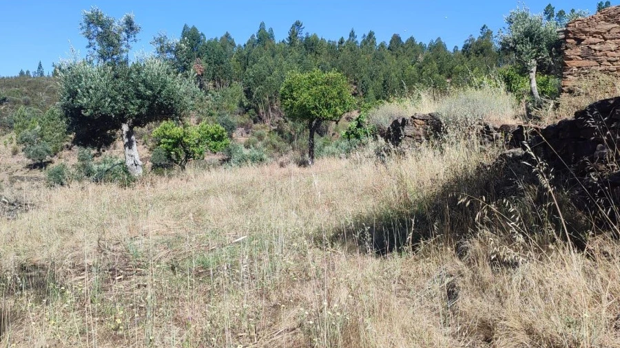 Terreno Agricola ou Rústico para Venda em Vila Velha de Rodão