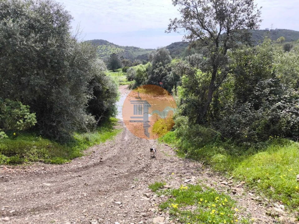 Terreno para Venda em Santa Catarina da Fonte do Bispo Foto 18