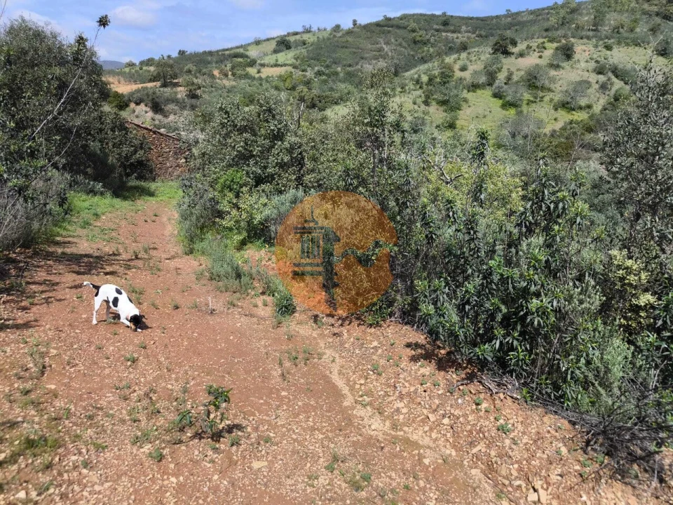 Terreno para Venda em Santa Catarina da Fonte do Bispo Foto 21
