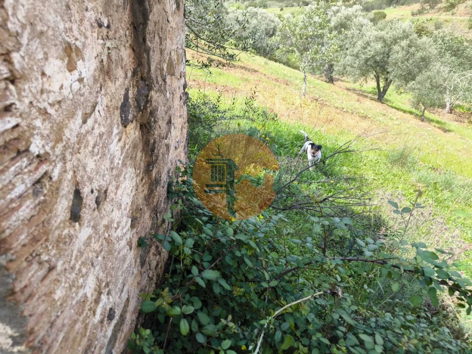 Terreno para Venda em Santa Catarina da Fonte do Bispo Foto 38