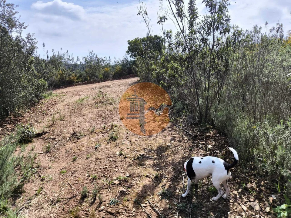 Terreno para Venda em Santa Catarina da Fonte do Bispo Foto 40