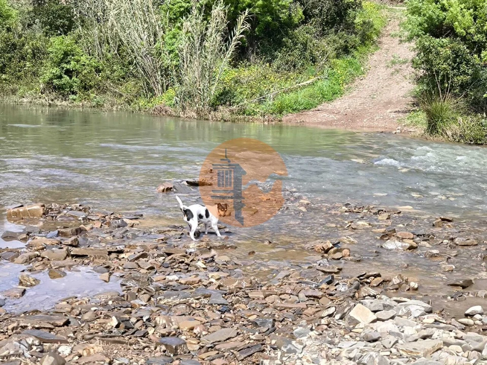 Terreno para Venda em Santa Catarina da Fonte do Bispo Foto 65