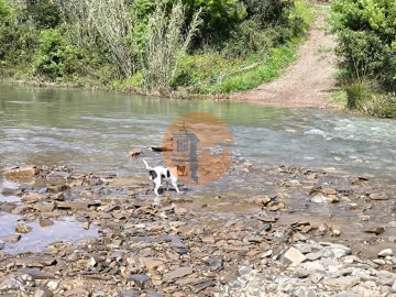 Terreno para Venda em Santa Catarina da Fonte do Bispo
