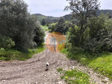 Terreno para Venda em Santa Catarina da Fonte do Bispo