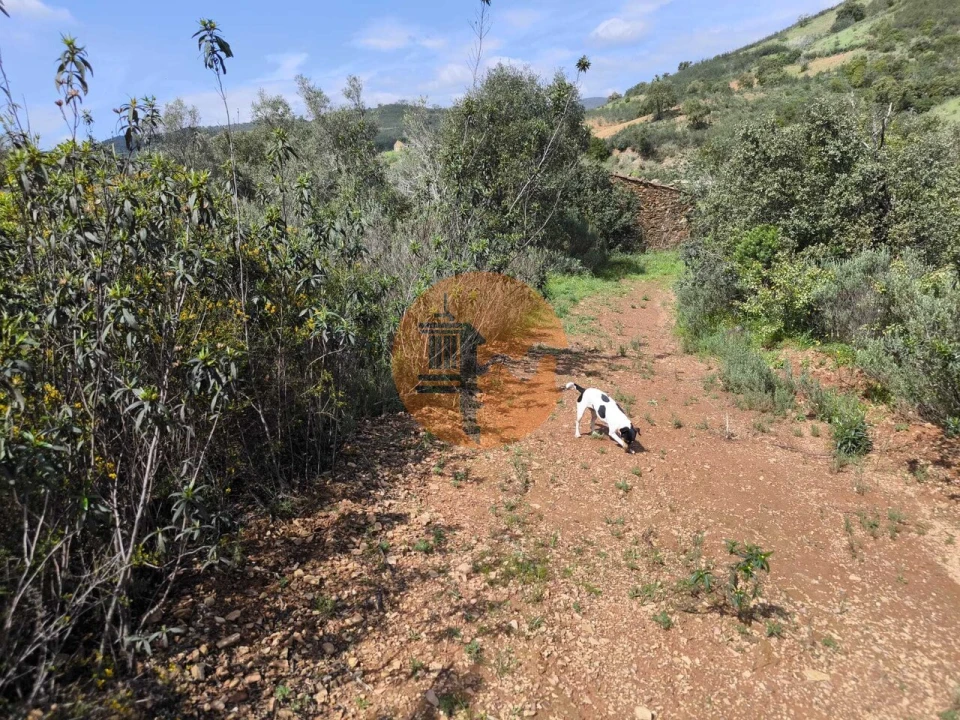 Moradia T0 para Venda em Santa Catarina da Fonte do Bispo Foto 26
