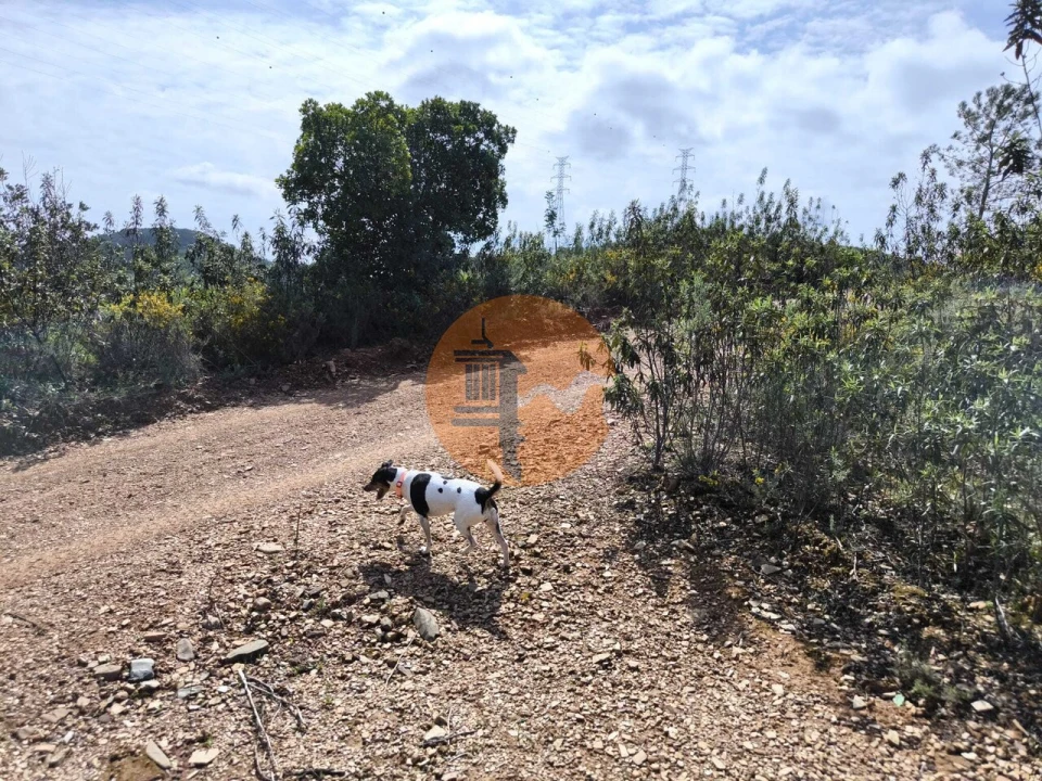 Moradia T0 para Venda em Santa Catarina da Fonte do Bispo Foto 31