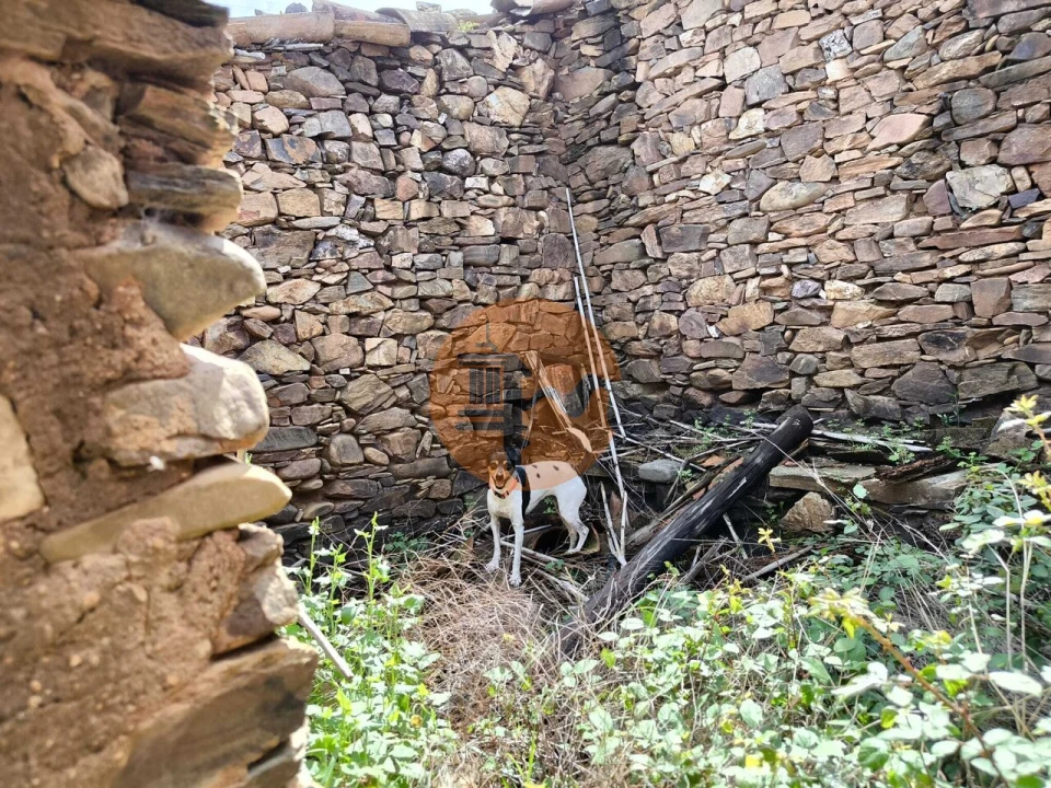 Moradia T0 para Venda em Santa Catarina da Fonte do Bispo Foto 45