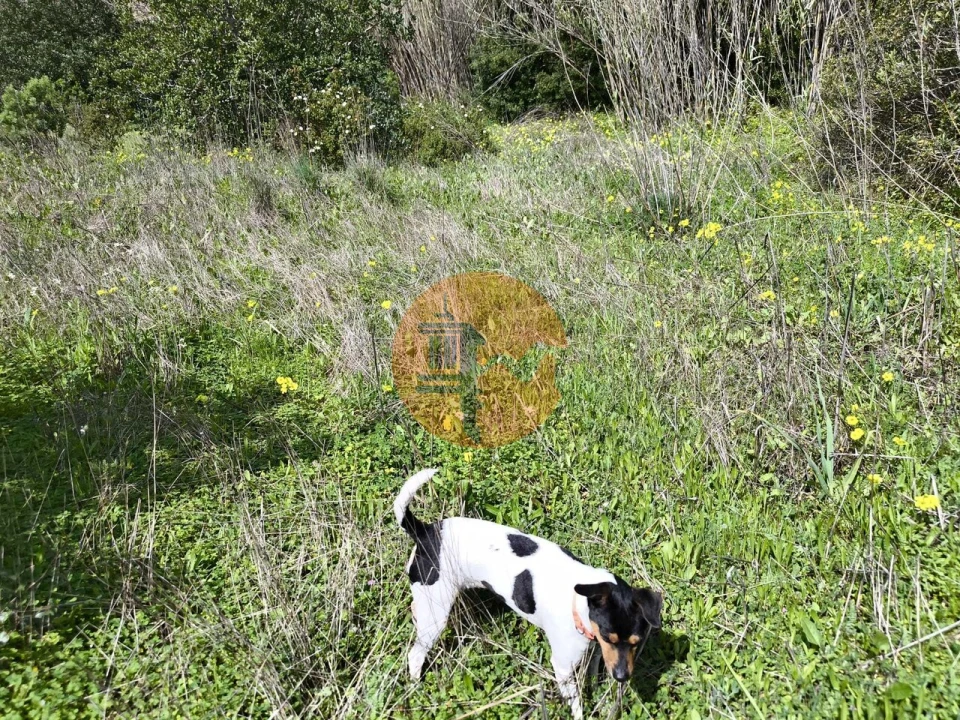 Moradia T0 para Venda em Santa Catarina da Fonte do Bispo Foto 48