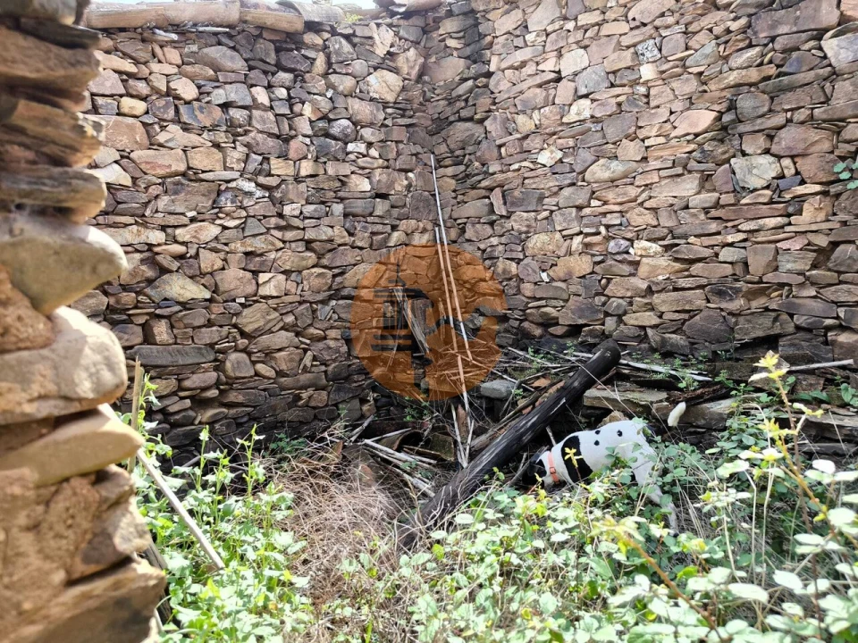 Moradia T0 para Venda em Santa Catarina da Fonte do Bispo Foto 49