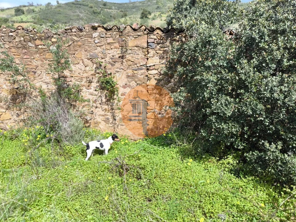 Moradia T0 para Venda em Santa Catarina da Fonte do Bispo Foto 51