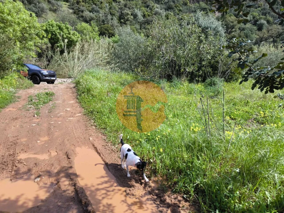 Moradia T0 para Venda em Santa Catarina da Fonte do Bispo Foto 64