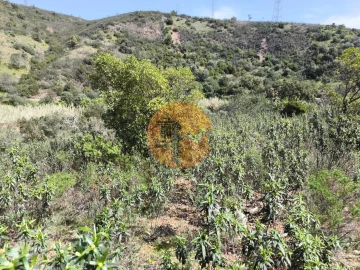 Moradia T0 para Venda em Santa Catarina da Fonte do Bispo