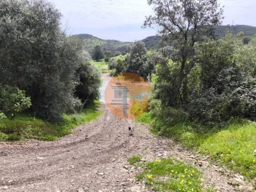 Moradia T0 para Venda em Santa Catarina da Fonte do Bispo