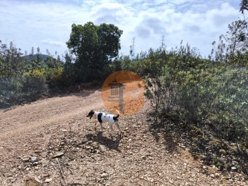 Moradia T0 para Venda em Santa Catarina da Fonte do Bispo