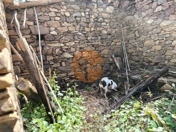 Moradia T0 para Venda em Santa Catarina da Fonte do Bispo