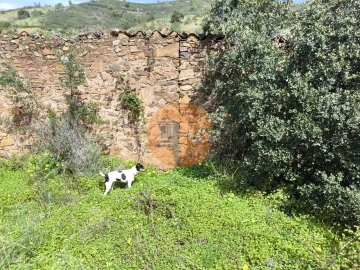 Moradia T0 para Venda em Santa Catarina da Fonte do Bispo
