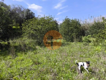 Moradia T0 para Venda em Santa Catarina da Fonte do Bispo