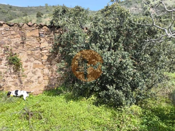 Moradia T0 para Venda em Santa Catarina da Fonte do Bispo