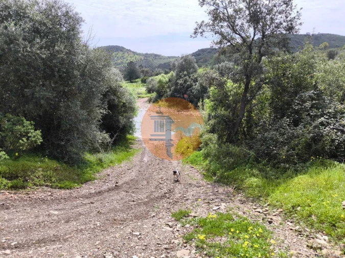 Moradia T0 para Venda em Santa Catarina da Fonte do Bispo Foto 18