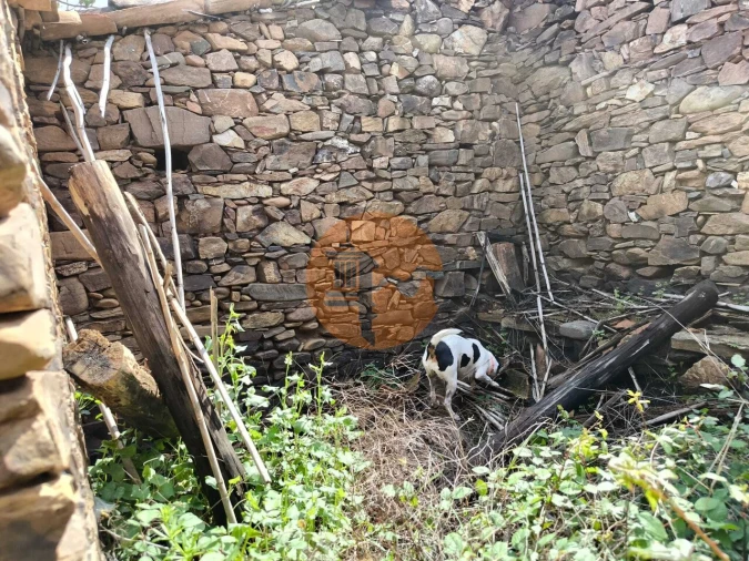 Moradia T0 para Venda em Santa Catarina da Fonte do Bispo Foto 46