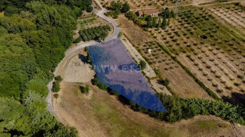 Terreno para Venda em Orjais