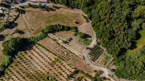 Terreno para Venda em Orjais