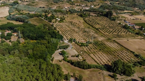 Terreno para Venda em Orjais