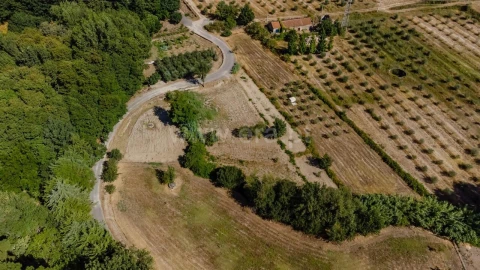 Terreno para Venda em Orjais
