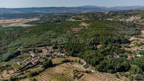 Terreno para Venda em Orjais