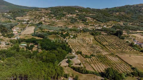 Terreno para Venda em Orjais