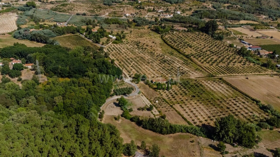 Terreno para Venda em Orjais Foto 4